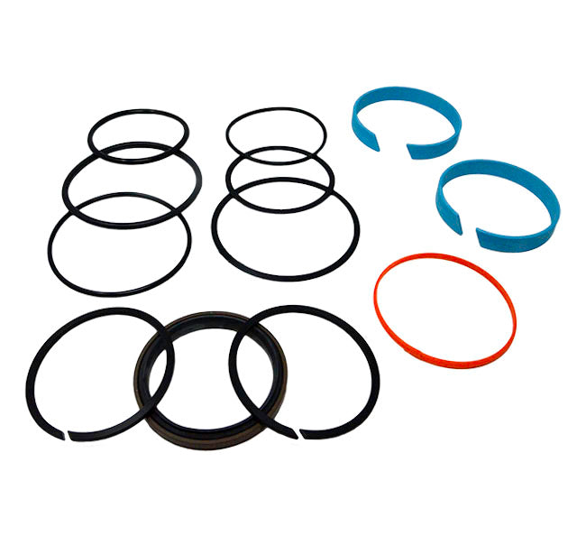 AH212096 Bore Seal Kit AHC19979